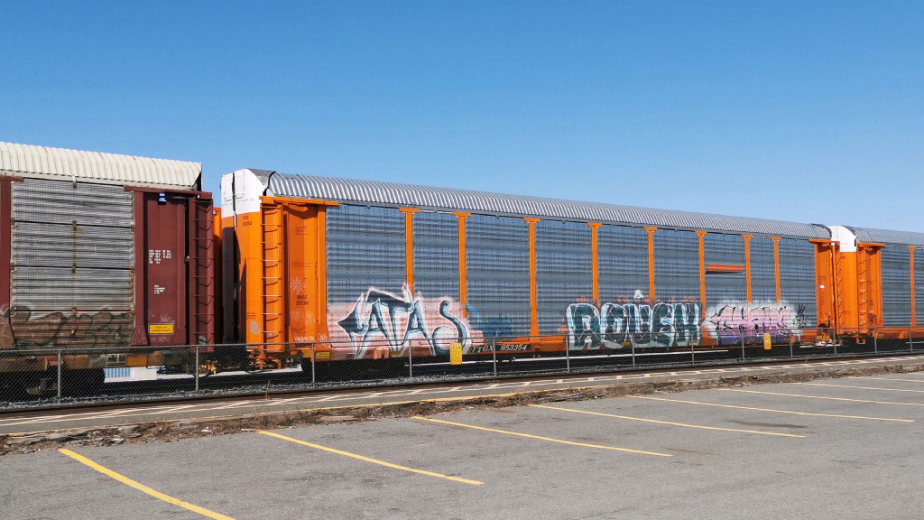 BNSF 28236 (Body) TTGX 953354 (Flat)